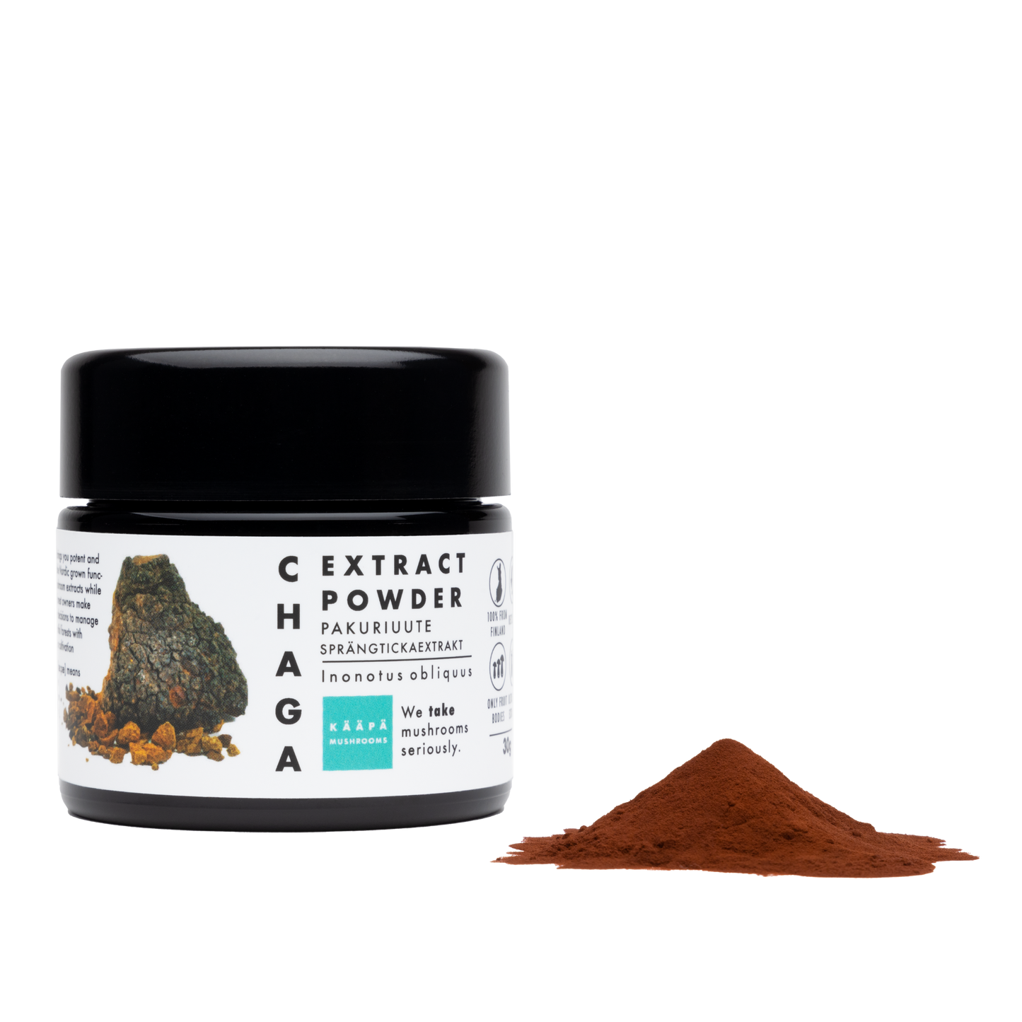 Organic mushroom supplement "CHAGA extract powder" | 30 g