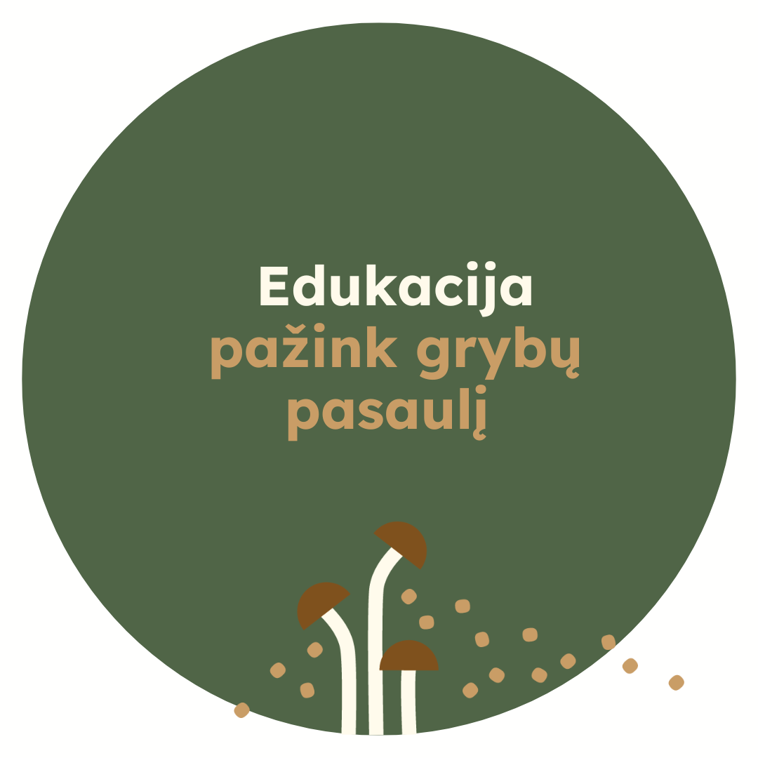Edukacija apie grybų pasaulį