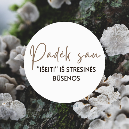 patarimai kaip padėti sau išeiti iš stresinės būsenos