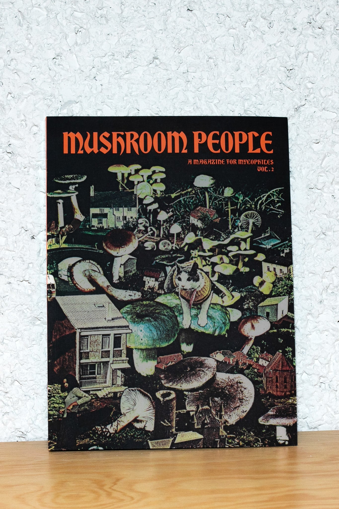 MUSHROOM PEOPLE | žurnalas apie grybų pasaulį, Nr. 1, 192 psl. unikalaus turinio