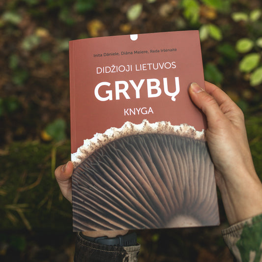 DIDŽIOJI LIETUVOS GRYBŲ KNYGA | išsamiausia knyga apie Lietuvos grybus