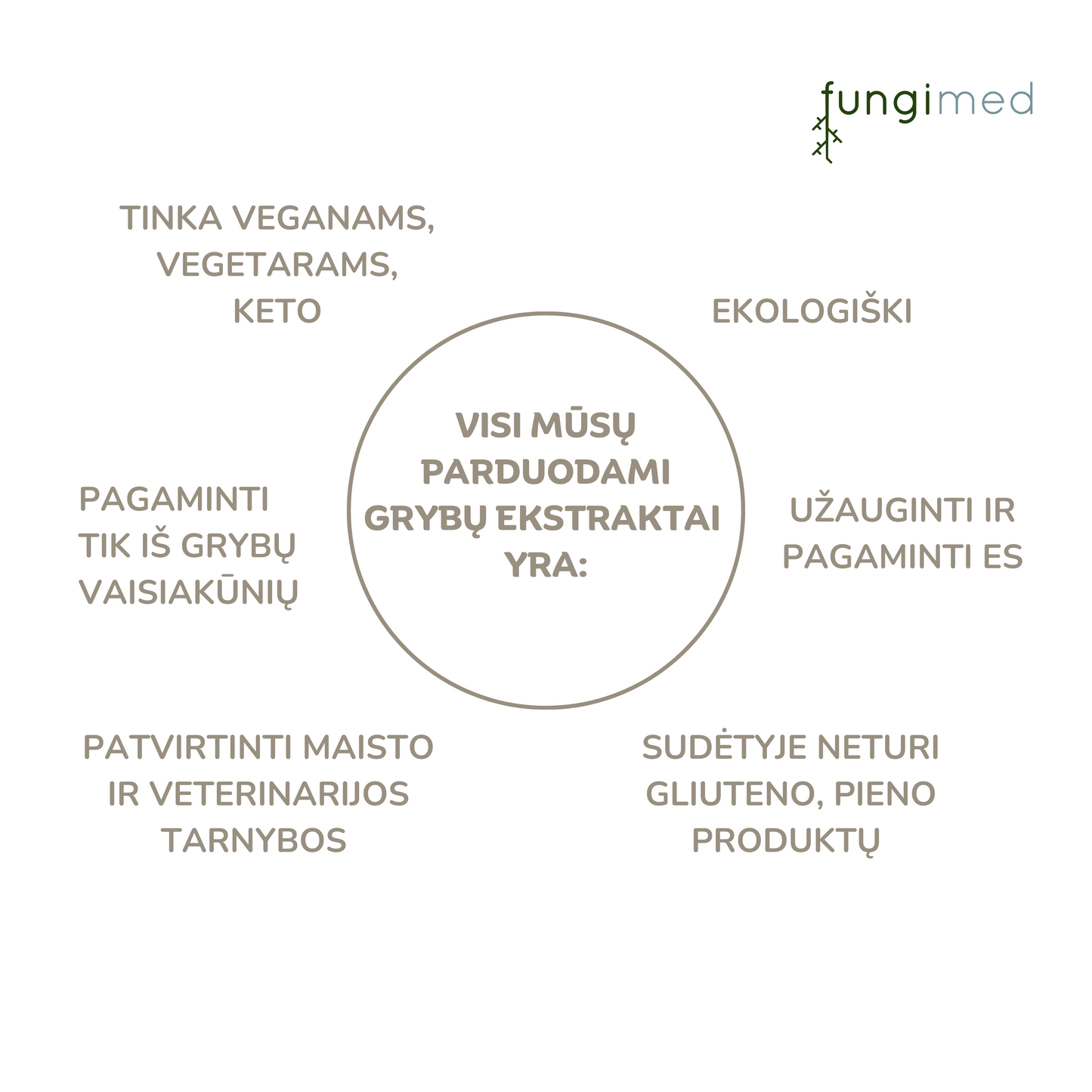 Ekologiškas grybų papildas „CHAGA extract”