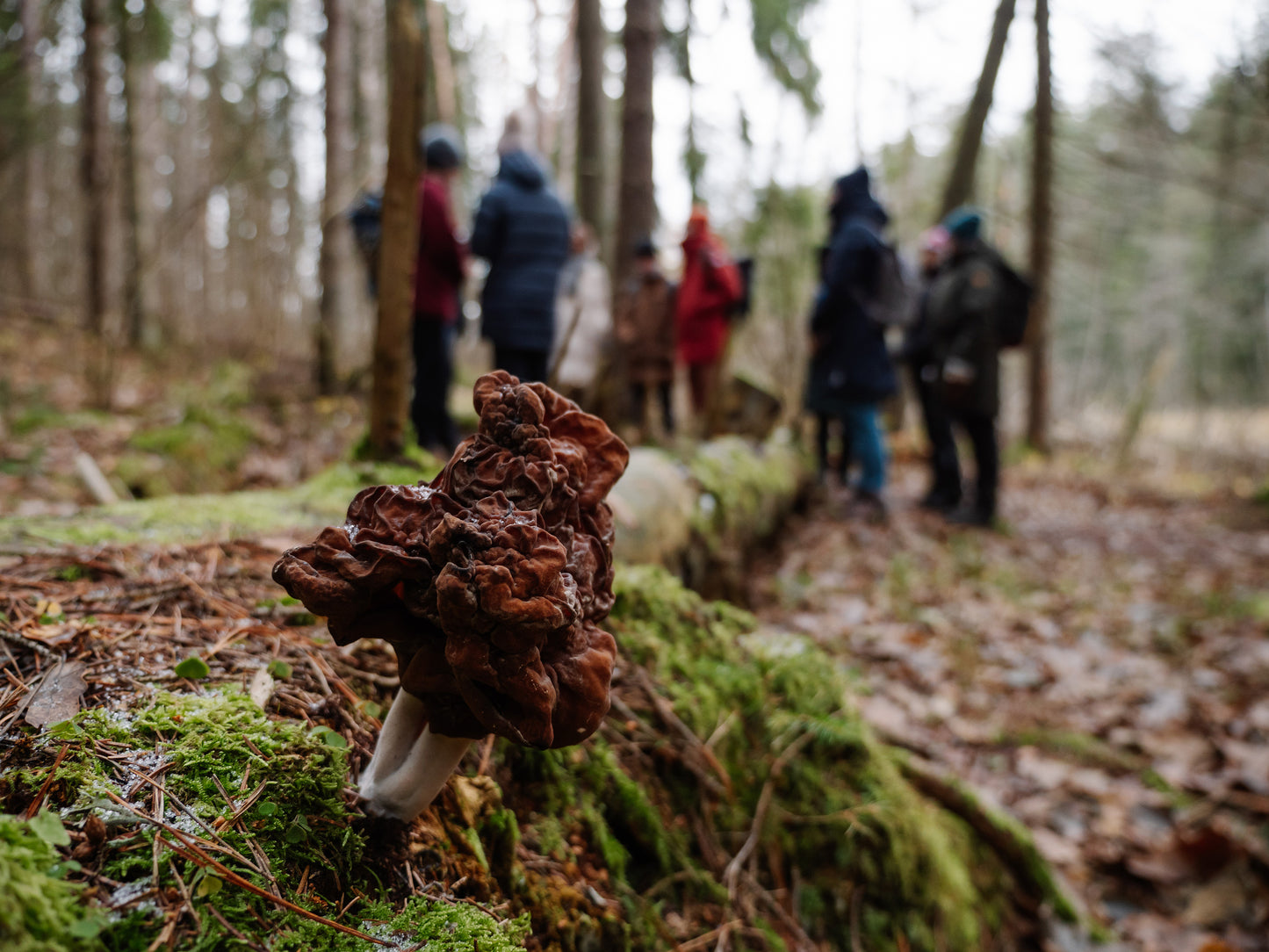 Education on May 4, 10:00-12:30. In Varniki forest