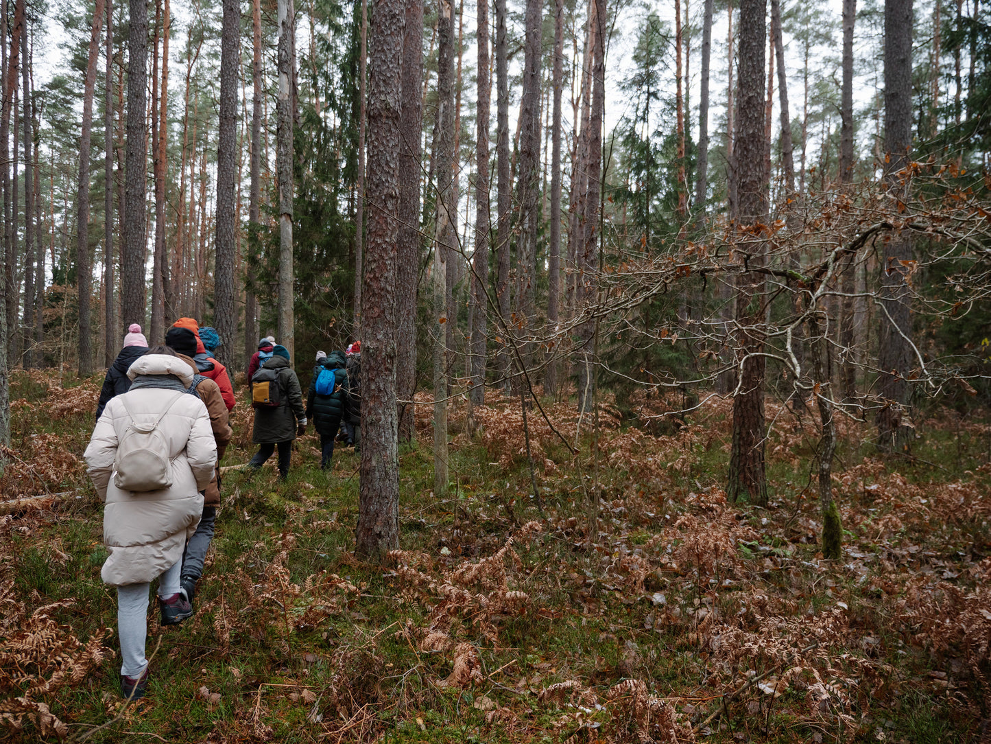 Education on May 4, 10:00-12:30. In Varniki forest