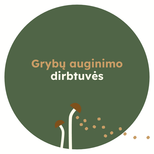Grybų auginimo dirbtuvės