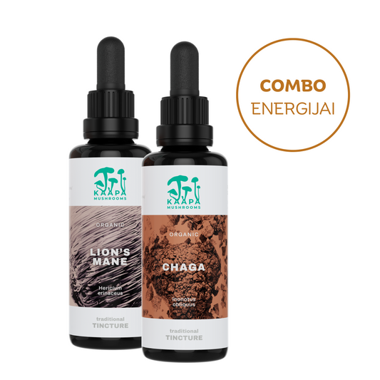 Organic extracts of CHAGA and LION's MANE mushrooms | A set for energy and concentration