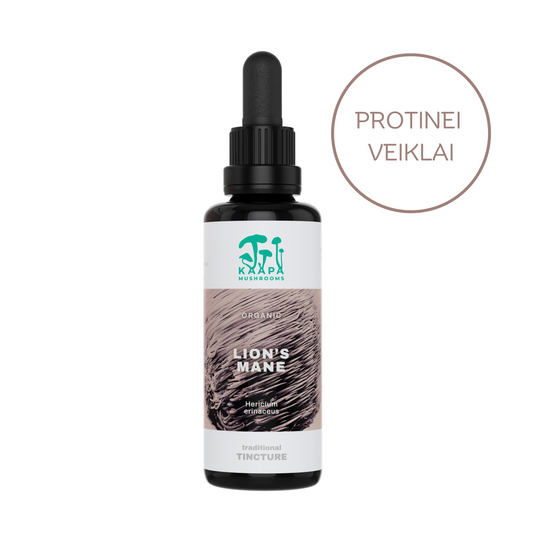 Organic mushroom supplement "LION's MANE extract"